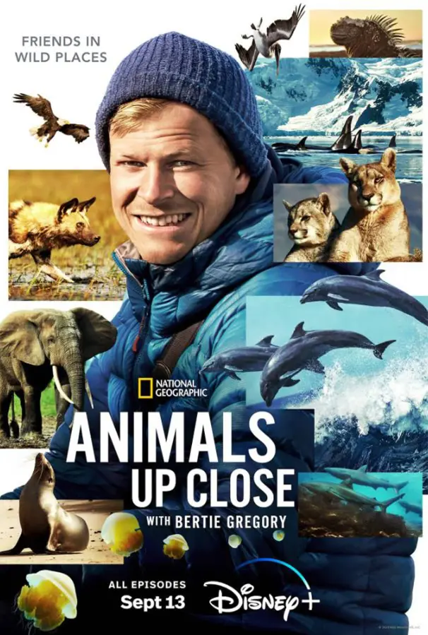 Wildlife documentary on demand